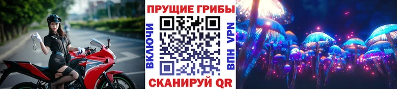 ссылка на мегу Кропоткин Галлюциногенные грибы MAGIC MUSHROOMS